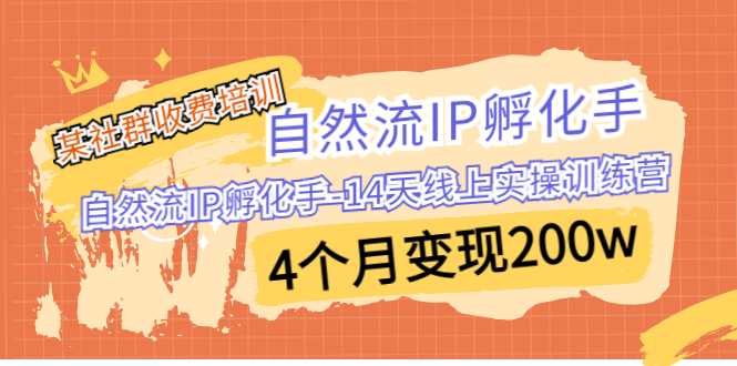 某社群收费培训：自然流IP 孵化手-14天线上实操训练营 4个月变现200w-果酷网