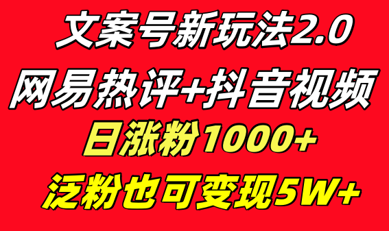 文案号新玩法 网易热评+抖音文案 一天涨粉1000+ 多种变现模式 泛粉也可变现-果酷网