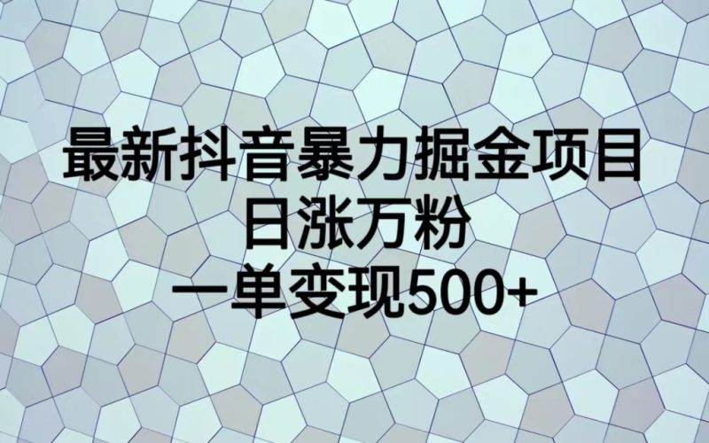 最新抖音暴力掘金项目，日涨万粉，一单变现500+-果酷网