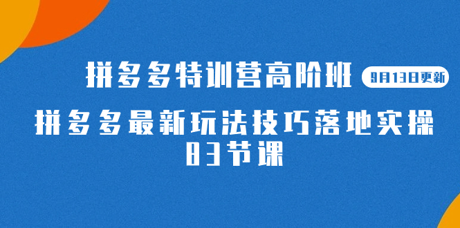 2023拼多多·特训营高阶班【9月19日更新】拼多多最新玩法技巧落地实操-83节-果酷网