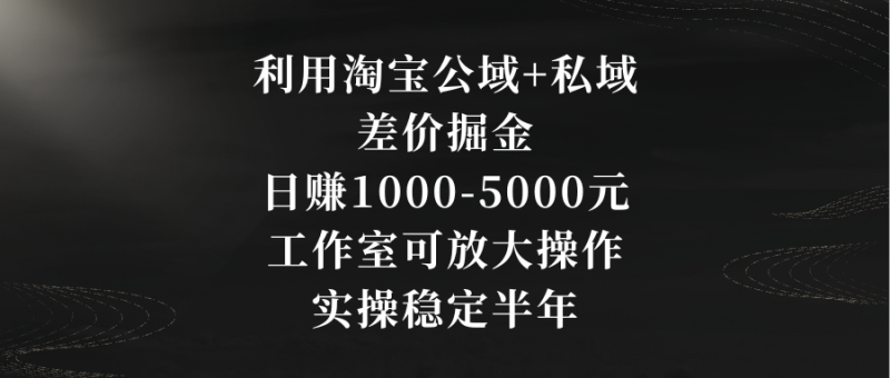 利用淘宝公域+私域差价掘金，日赚1000-5000元，工作室可放大操作，实操…-果酷网