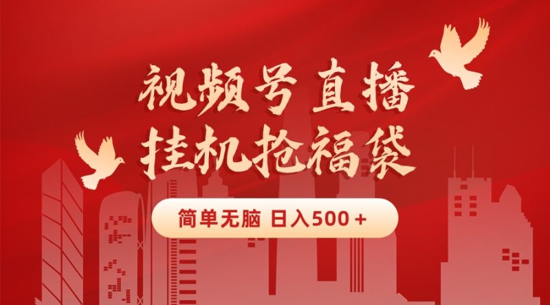 最新视频号直播挂机抢福袋项目，简单无脑，批量产出实物，轻松日入500＋-果酷网